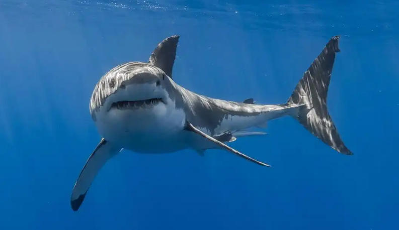 资兴市一条龙装饰股份公司轮播图1