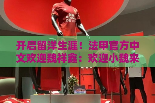 开启留洋生涯!法甲官方中文欢迎魏祥鑫:欢迎小魏来到法甲! 开启留洋生涯!法甲官方中文欢迎魏祥鑫:欢迎小魏来到法甲!