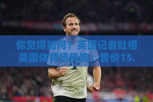 你觉得如何?英国记者吐槽美国体育场热狗:售价15.56刀 三口就没 你觉得如何?英国记者吐槽美国体育场热狗:售价15.56刀 三口就没