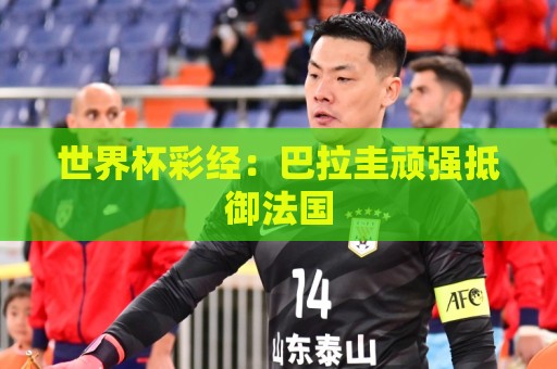 世界杯彩经:巴拉圭顽强抵御法国 世界杯彩经:巴拉圭顽强抵御法国