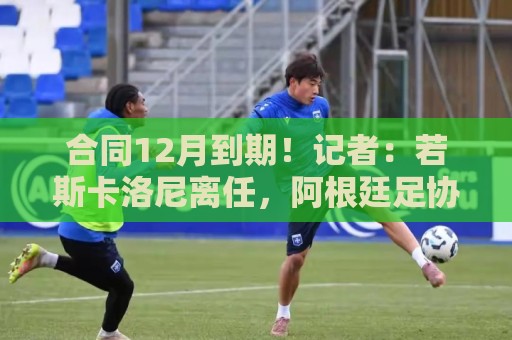 合同12月到期!记者:若斯卡洛尼离任,阿根廷足协梦想任命西蒙尼 合同12月到期!记者:若斯卡洛尼离任,阿根廷足协梦想任命西蒙尼