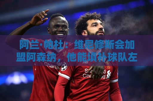 阿兰·帕杜:维尼修斯会加盟阿森纳,他能填补球队左路的空缺 阿兰·帕杜:维尼修斯会加盟阿森纳,他能填补球队左路的空缺