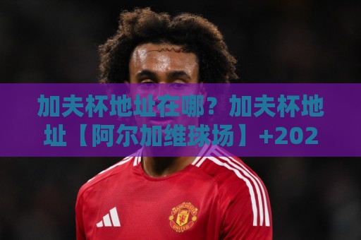 加夫杯地址在哪？加夫杯地址【阿尔加维球场】+2026年观赛路线与场地分布全知道🕋网上热门比球网回放无广告全场录像公司比分下盘