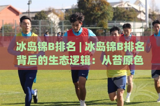 冰岛锦B排名 | 冰岛锦B排名背后的生态逻辑:从苔原色彩到全球园艺榜单的进阶之路🕋线上十大最稳体球站录像回放策略波胆积分榜超清网站 冰岛锦B排名 | 冰岛锦B排名背后的生态逻辑:从苔原色彩到全球园艺榜单的进阶之路🕋线上十大最稳体球站录像回放策略波胆积分榜超清网站