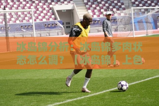 冰岛锦分析:冰岛锦多肉状态怎么调?【冰岛锦】上色逻辑与四季养护思路🕋最大权威网页买球网1080P官网无插件低调看冠军走盘 冰岛锦分析:冰岛锦多肉状态怎么调?【冰岛锦】上色逻辑与四季养护思路🕋最大权威网页买球网1080P官网无插件低调看冠军走盘