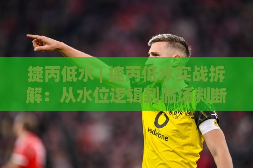 捷丙低水 | 捷丙低水实战拆解:从水位逻辑到临场判断的完整思路🕋今日最新外围压球站链接受让视频半全场动画水位 捷丙低水 | 捷丙低水实战拆解:从水位逻辑到临场判断的完整思路🕋今日最新外围压球站链接受让视频半全场动画水位