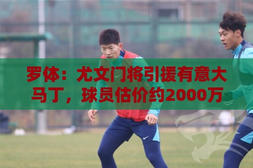 罗体:尤文门将引援有意大马丁,球员估价约2000万欧元 罗体:尤文门将引援有意大马丁,球员估价约2000万欧元