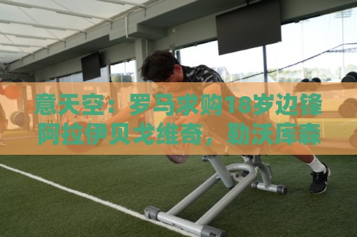 意天空:罗马求购18岁边锋阿拉伊贝戈维奇,勒沃库森要价3000万欧 意天空:罗马求购18岁边锋阿拉伊贝戈维奇,勒沃库森要价3000万欧